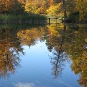 Restorative for All Seasons